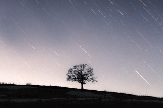 How to Shoot Star Trails